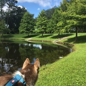 Meet your Posher, Julia